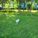 고하대로719번길 이미지