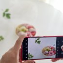 퓨전떡 만들기 이미지