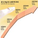 금 소매가 3.75g(1돈)에 21만7200원 국내 금값 사상 최고치 [TOP구제] 이미지