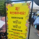어린이물놀이장 | 대전 한밭수목원 어린이물놀이장 후기 (시설, 준비물 등)