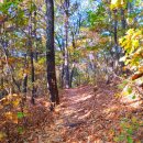 일동예일어린이집 이미지