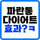 없음 | 파란통 다이어트 내돈내산 후기 효과 없음 (푸드올로지 맨올로지컷 프로)