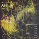 선과색