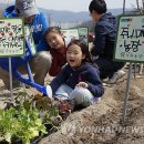 새누리농장 이미지