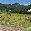 성포경로식당 이미지