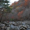 대소골 Daum카페