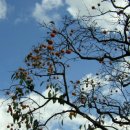 청량산하루민박 이미지