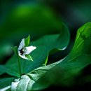 알봉 둘레길 이미지