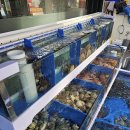 통굴통굴 이미지