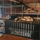 라크라센타(2) 이미지