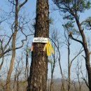 신촌교 밑 이미지