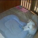 호텔델루멍 이미지