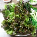 모자족발 - 용인시 기흥구 죽현로 8-20 | 모자족발