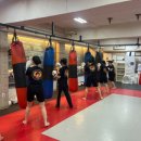 타이혼 스포츠 아카데미 이미지