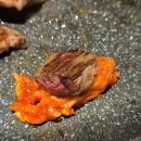 신흥 정육식당 | 잠실 가성비 맛집 백가신흥정육식당 한우 솔직 후기