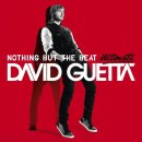 David Guetta - Without You(Ft.Usher) 이미지