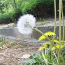 만안도서관 이미지