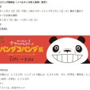 일본 와카야마현 어드벤처 월드 판다코판다전 개최!(25.1.17-3.11)
