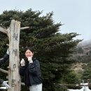 김밥세상25 이미지