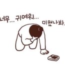 신비의 짬뽕포차 이미지