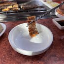 섬진강민물장어 이미지