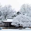 정자청소년 | 눈 내린 정자와 거북바위 거창 수승대 눈썰매장 입장료 개장일정 총정리