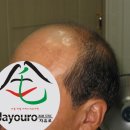 자유로 프라자 이미지