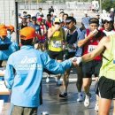 발걸음 가볍게 해준 春川시민의 손 - 조선일보 이미지