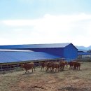 우만농장 이미지