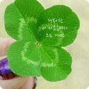 죽어야 사는 생명의 역설 이미지