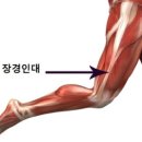 강남휘트니스 이미지