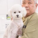 전우사 이미지