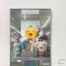 뉴타입매스 이미지