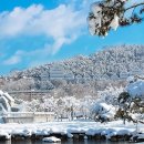 조선대학교 이미지