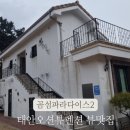 곰섬파라다이스2 이미지