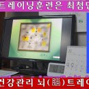 뇌(腦)트레이닝 훈련은 최첨단 치료법이다 이미지