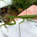 한길송정 이미지