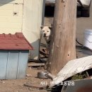 신현무관 | 드론자격증 1종 취득 후기