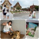 라이온씨티 | 푸켓 시티투어 코스 추천 라이온랜드 왓찰롱 사원 후기