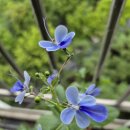 불밝혀요 이미지
