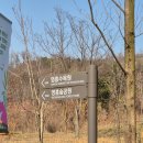 수원-1145 | 수원 영흥수목원 실시간 후기 3월 22일 개화 현황은? 주차 팁과 수원시민 할인 총정리