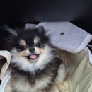 오늘, 그루밍 이미지