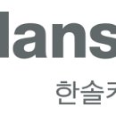 종합기업분석 - 한솔케미칼