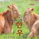 소담 한우 이미지