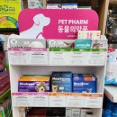 신화약국 이미지