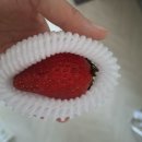 킹스베리 이미지