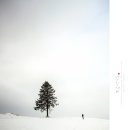 대둔산목장 이미지