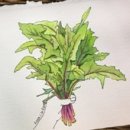 촌놈채소