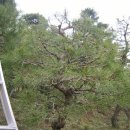 오륜농장 이미지