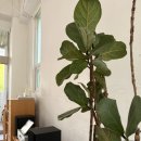 템퍼러리 이미지